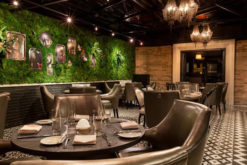 Boka — Lincoln Park