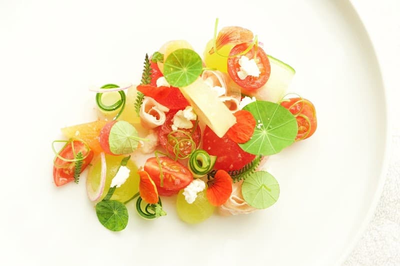 Sorrel photo 1